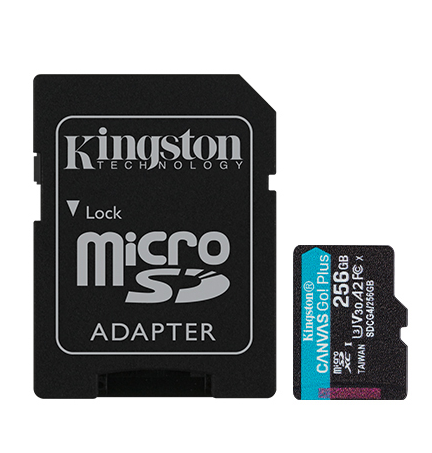 KINGSTON MICROSD GO PLUS 256GB
