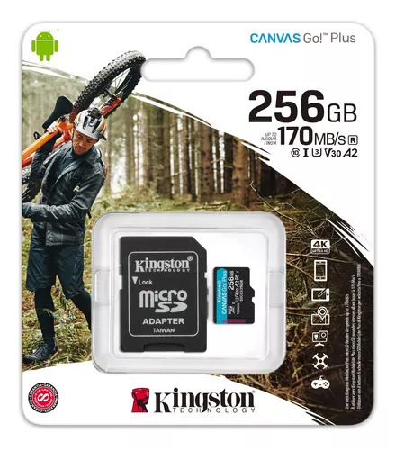 KINGSTON MICROSD GO PLUS 256GB